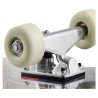 Amila Skateboard Skatebird Blazing Drake 48931