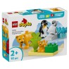 Lego Duplo Wild Animal Families Penguins & Lions 10442