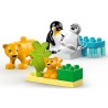 Lego Duplo Wild Animal Families Penguins & Lions 10442