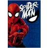 Gim Τετράδιο Spiderman Web Head 17x25cm 337-11400
