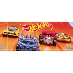 HOT WHEELS & ΠΙΣΤΕΣ